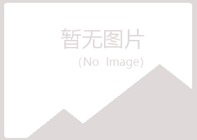 河池惜霜零售有限公司